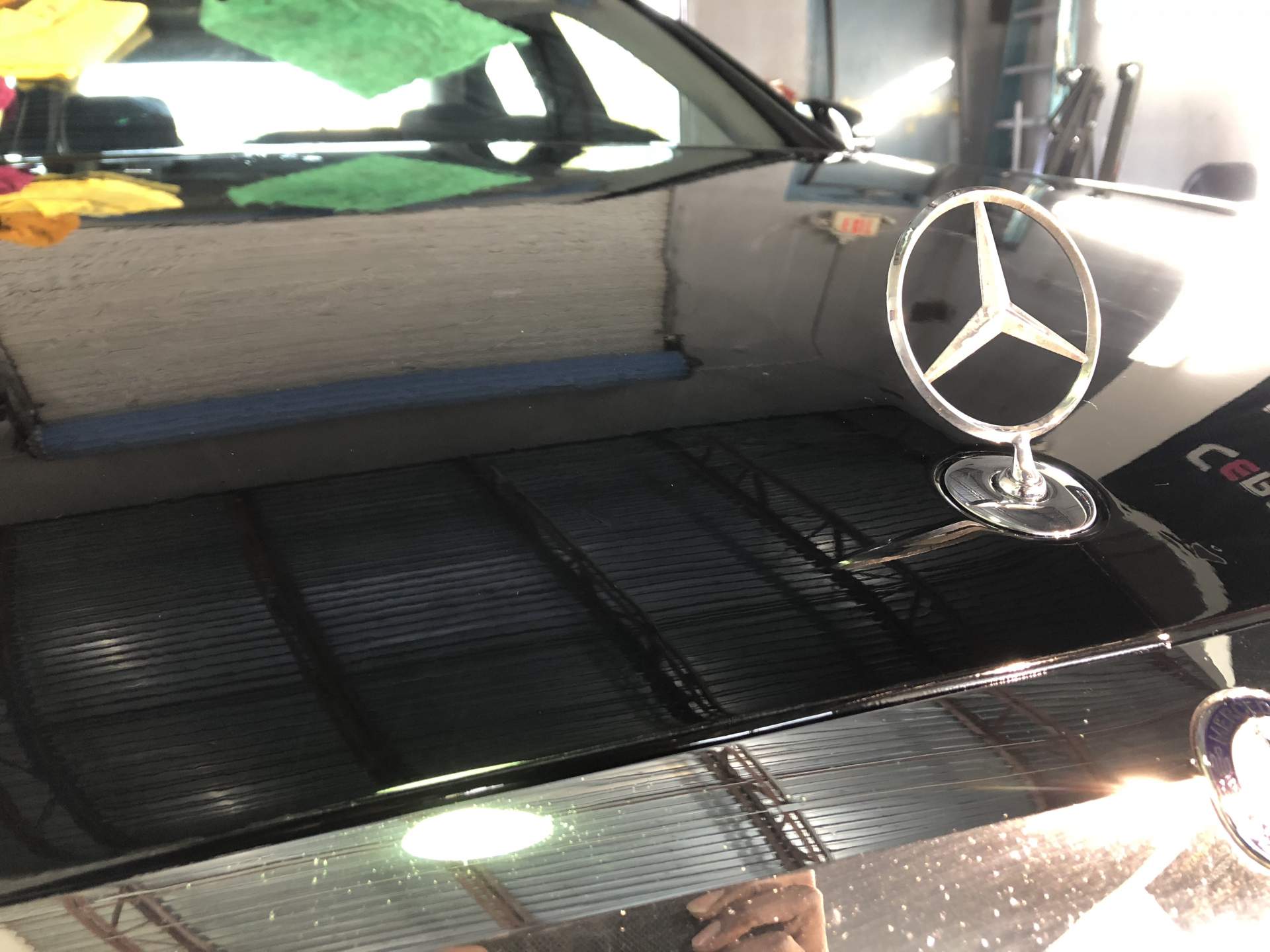 Black Mercedes hood all shined up